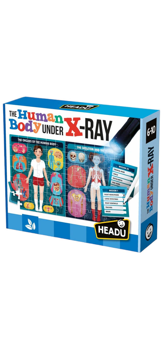 Headu - X-Ray Human Body